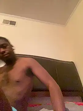ThickDic28 Show in webcam
