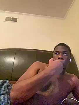 ThickDic28 webcam show