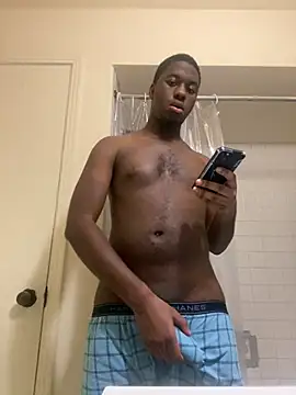 ThickDic28 Show in webcam