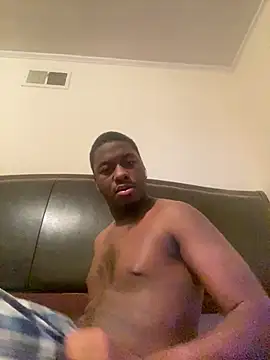 ThickDic28 Show Webcam
