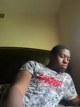 ThickDic28 Show in webcam