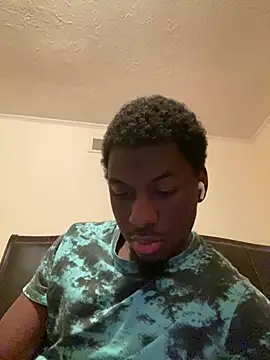 ThickDic28 Show in webcam