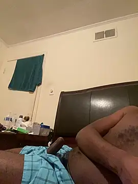 ThickDic28 Show in webcam
