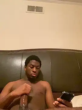 ThickDic28n Webbikameraesitys