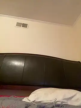 ThickDic28 Webcam-Show
