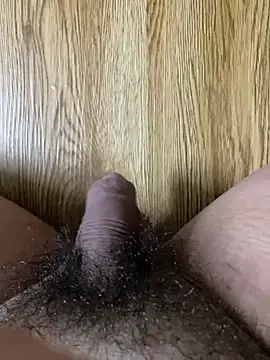 anhye8 Pertunjukan Webcam