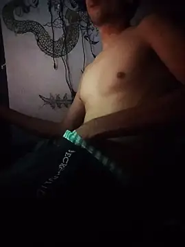 הופעת וובקאם של CassetteSonico