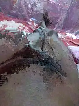 nnjum Webcam show