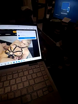 Letsseewhatuhave webkamerás műsora