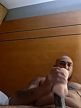 Mac15151 Show in webcam