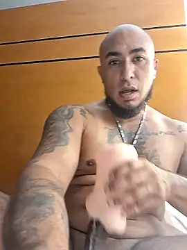Mac15151 Show in webcam