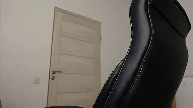 Richard_Dullasn Webbikameraesitys