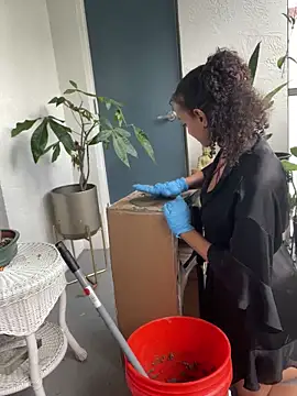 sexymsbrown Show in webcam