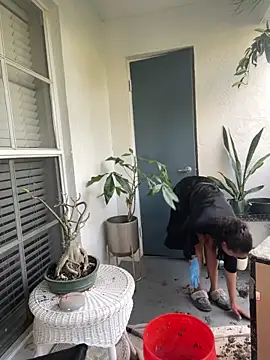 sexymsbrown 웹캠 쇼