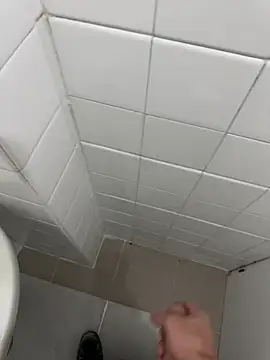 Lillyluken Webbikameraesitys
