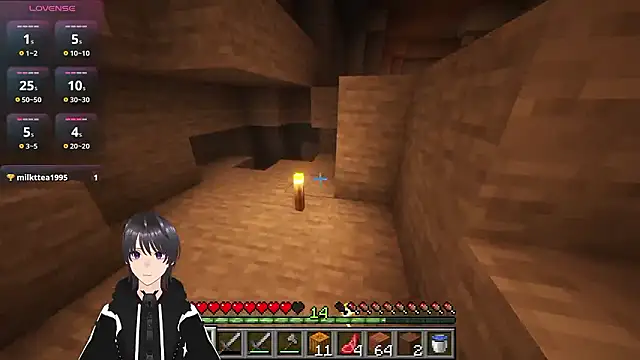 Show webcam de Pui-Ch