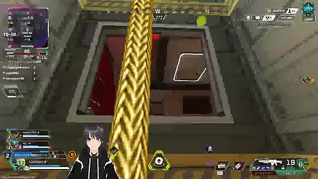 Show webcam de Pui-Ch