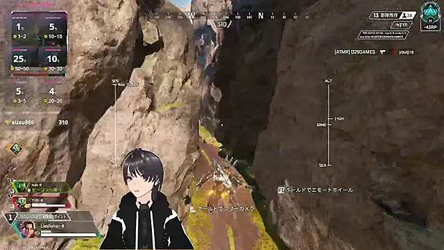 Pui-Ch Show in webcam