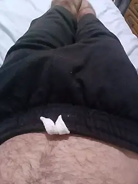 Show de DomDix na webcam