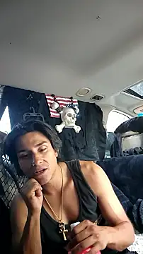 ZeldaSneakyLink Webcam Show