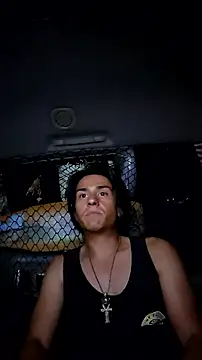 ZeldaSneakyLink's Webcam Show