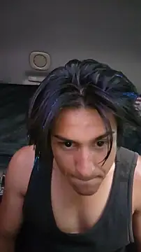 ZeldaSneakyLink Webcam-Show