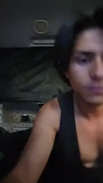 ZeldaSneakyLink Show in webcam