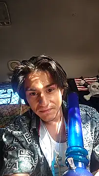 ZeldaSneakyLink Webcam show