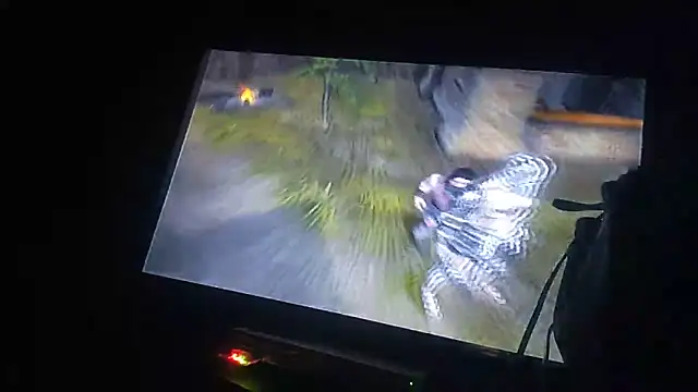 ZeldaSneakyLink's Webcam Show