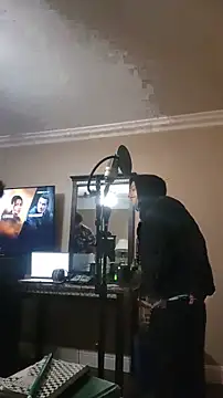 ZeldaSneakyLink's Webcam Show