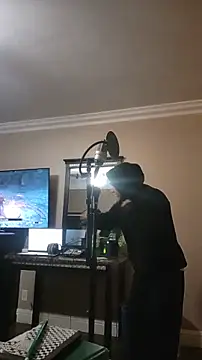 ZeldaSneakyLink's Webcam Show