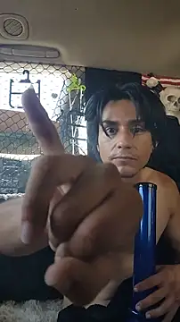 ZeldaSneakyLink Webcam-Show