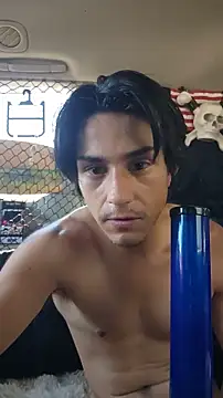 Show de ZeldaSneakyLink na webcam