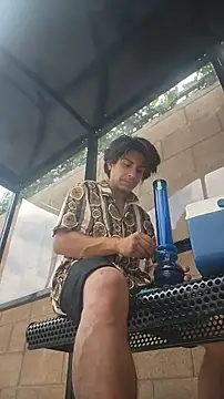 הופעת וובקאם של ZeldaSneakyLink