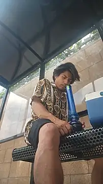 عرض كام ZeldaSneakyLink