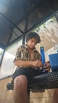 ZeldaSneakyLink Webcam show