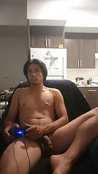 ZeldaSneakyLink Show Webcam