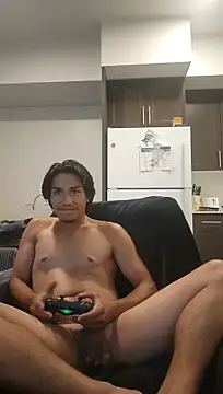 ZeldaSneakyLink Show in webcam