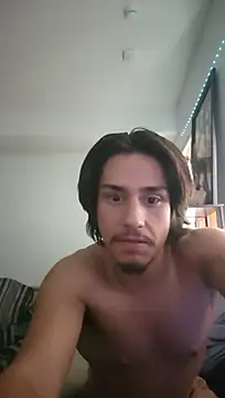 Show de ZeldaSneakyLink na webcam