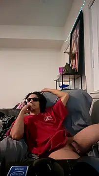 ZeldaSneakyLink's Webcam Show