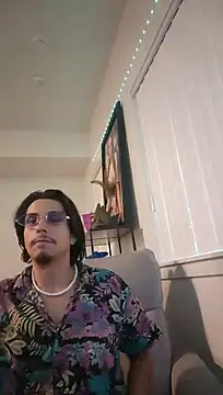 ZeldaSneakyLink's Webcam Show
