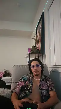 ZeldaSneakyLink's Webcam Show