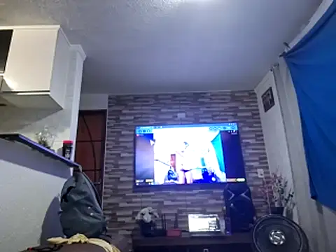 Show modela ddilicia na web-kameri