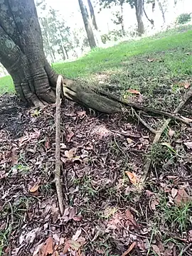 Andres_boy252 – webcam-show