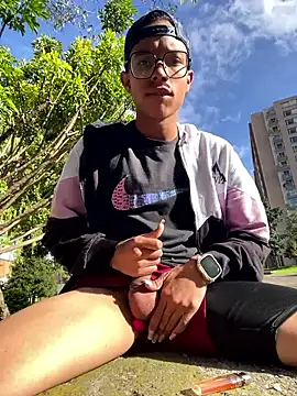 Andres_boy252n Webbikameraesitys