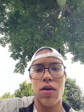 Andres_boy252n Webbikameraesitys