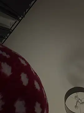 Jaropol Pertunjukan Webcam