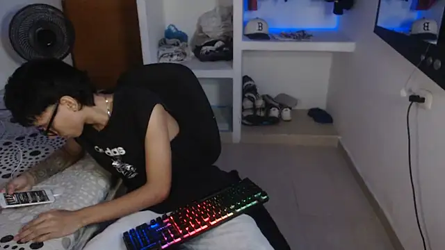 Show webcam de sung_yol