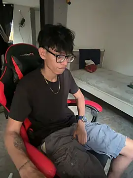 Show webcam de sung_yol