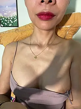 Pertunjukan Kamera Web Pu688